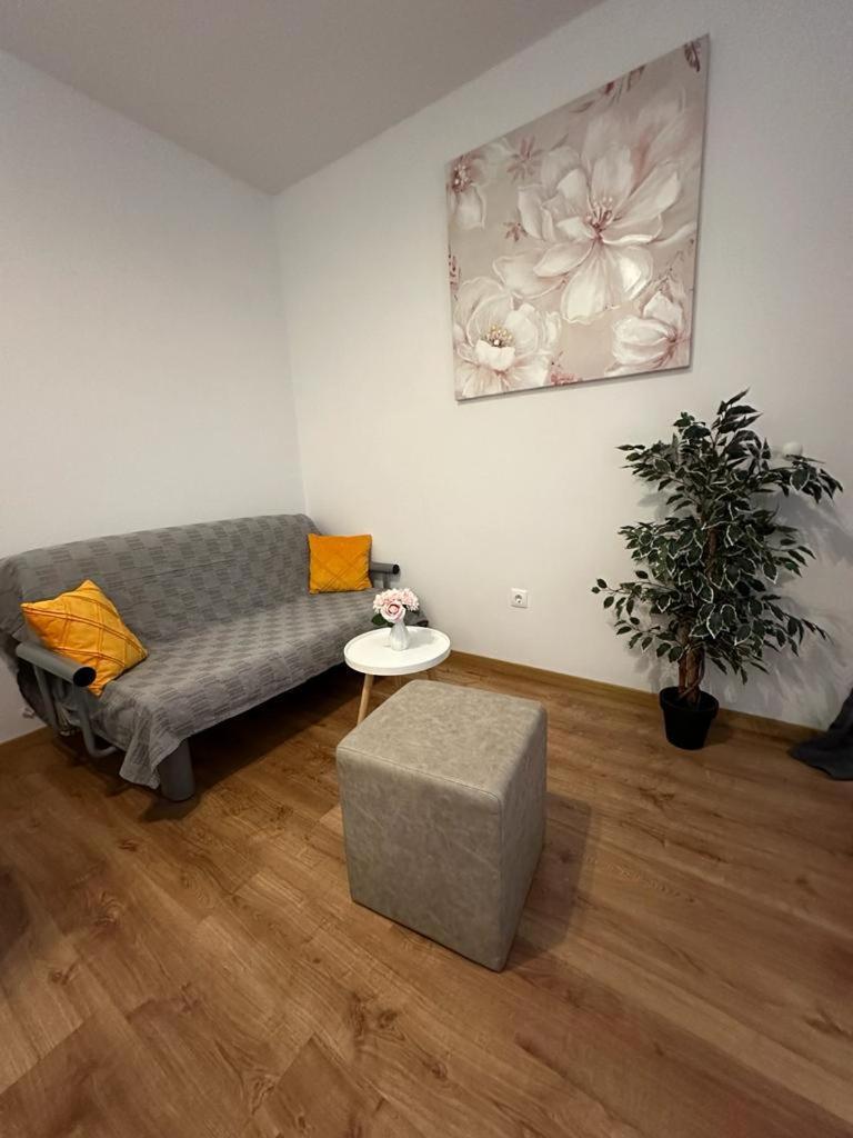 Apartmani Vice Brela Eksteriør billede